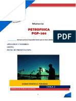 tarea 3 pgp 203 g3-2020(1)