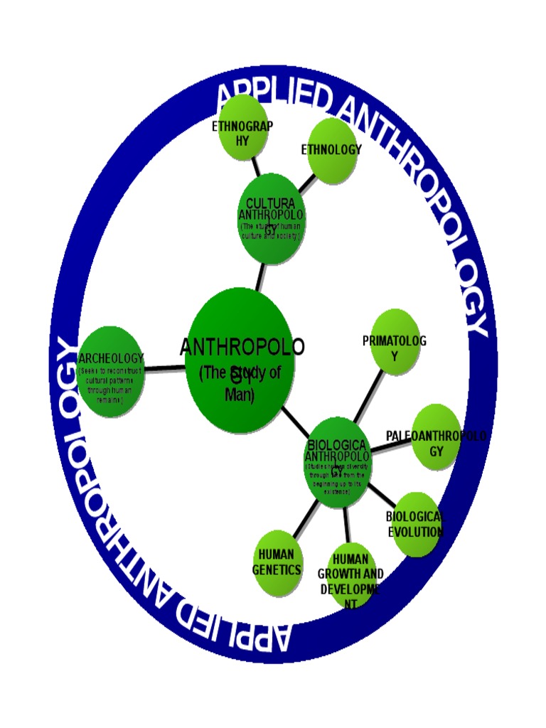 Anthropology Concept Map PDF