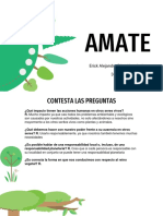 AMATE