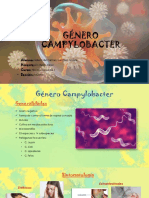 Genero Campylobacter Exposicion