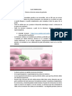 Embriologia Primera A Tercera Semana de Embarazo