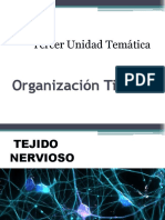 Organizacion Tisular III