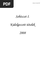 Download Sebszet1flvbyViktriaVasSN48410446 doc pdf