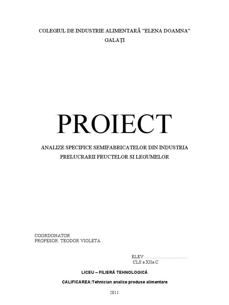 Proiect MODEL | PDF
