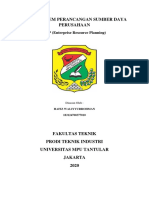 Tugas Erp PDF