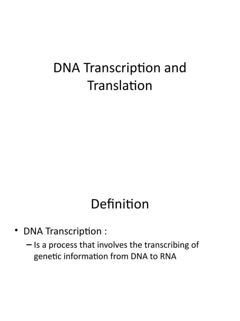 DNA Transcription and Translation Process | PDF | Rna | Translation ...