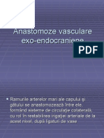 Anastomoze Vasculare Exo-Endocraniene