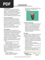 Salmonella-pullorum-et-gallinarum.pdf