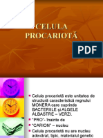 Celula Procariota