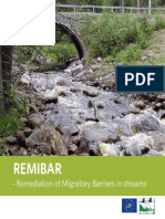 Remibar: - Remediation of Migratory Barriers in Streams