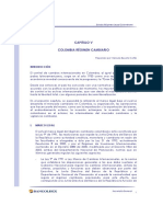 Colombia regimen cambiario.pdf