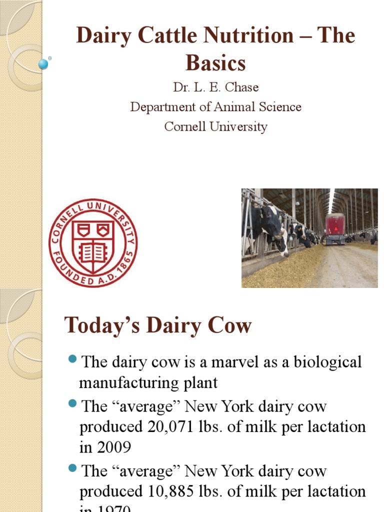 Dairy Cattle Nutrition The Basics Dr. L. E. Chase Department of