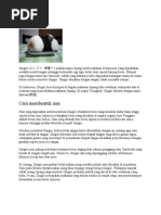 Download JEPANG by Sarah Adelia Pramitha SN48414417 doc pdf