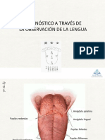 03 Diagnóstico Lengua 2017 TS