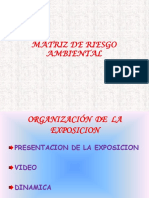 Matriz de Riezgo PDF