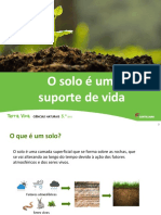 PPT_Solo.pdf