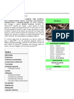 Mandioca.pdf