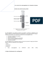 Laboratorio de Sangre