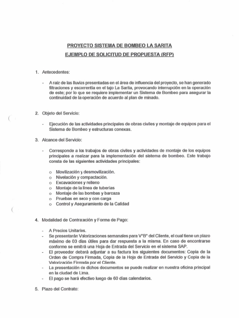 S. Ejemplo de RFP | PDF
