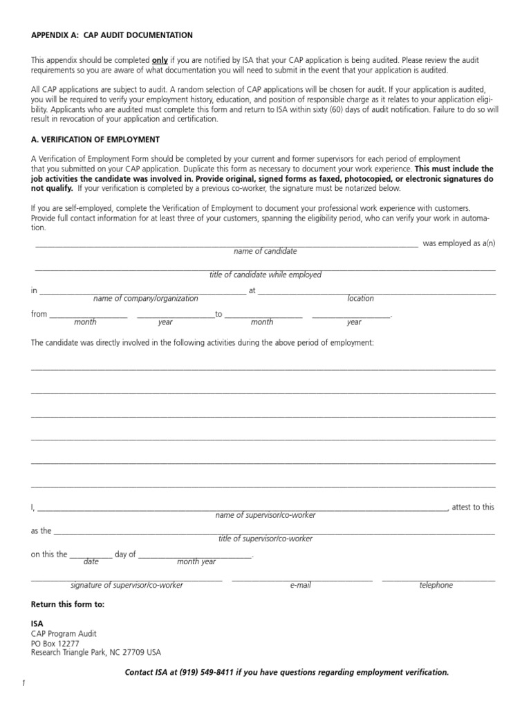 CAP Audit Documentation Guidelines | PDF | Audit | Automation