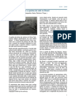 Artigo_brasileira.pdf
