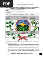 Evaluacion Del Personal 2020