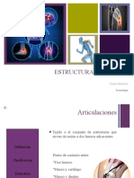 Estructura Articular