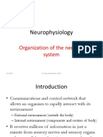 Organization of Nervous System