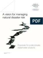 WEF VisionManagingNaturalDisaster Proposal 2011