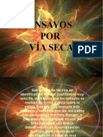 Ensayos Por Via Seca