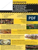 Hongos PDF