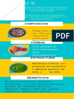 Virus PDF