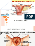 Anatomi Fisiologi System Reproduksi
