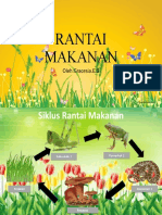 Rantai Makanan