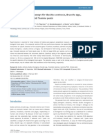 Rapid Field Detection Assays For Bacillus Anthracis, Brucella SPP., Francisella Tularensis and Yersinia Pestis