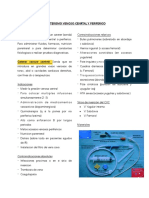 Cateterismo PDF