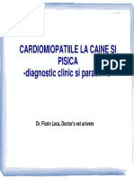 Cardiomiopatiile_la_caine_si_pisica.pdf