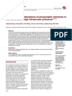 Spatiotemporal Alterations of Presynaptic Elements in The Retina After High Intraocular Pressure