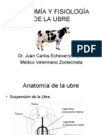 Anatomayfisiologadelaubre 111106130237 Phpapp02