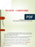 plante_carnivore (1).ppt