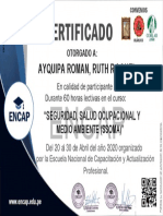 Seguridad Salud Ocupacional y Medio Ambiente PDF