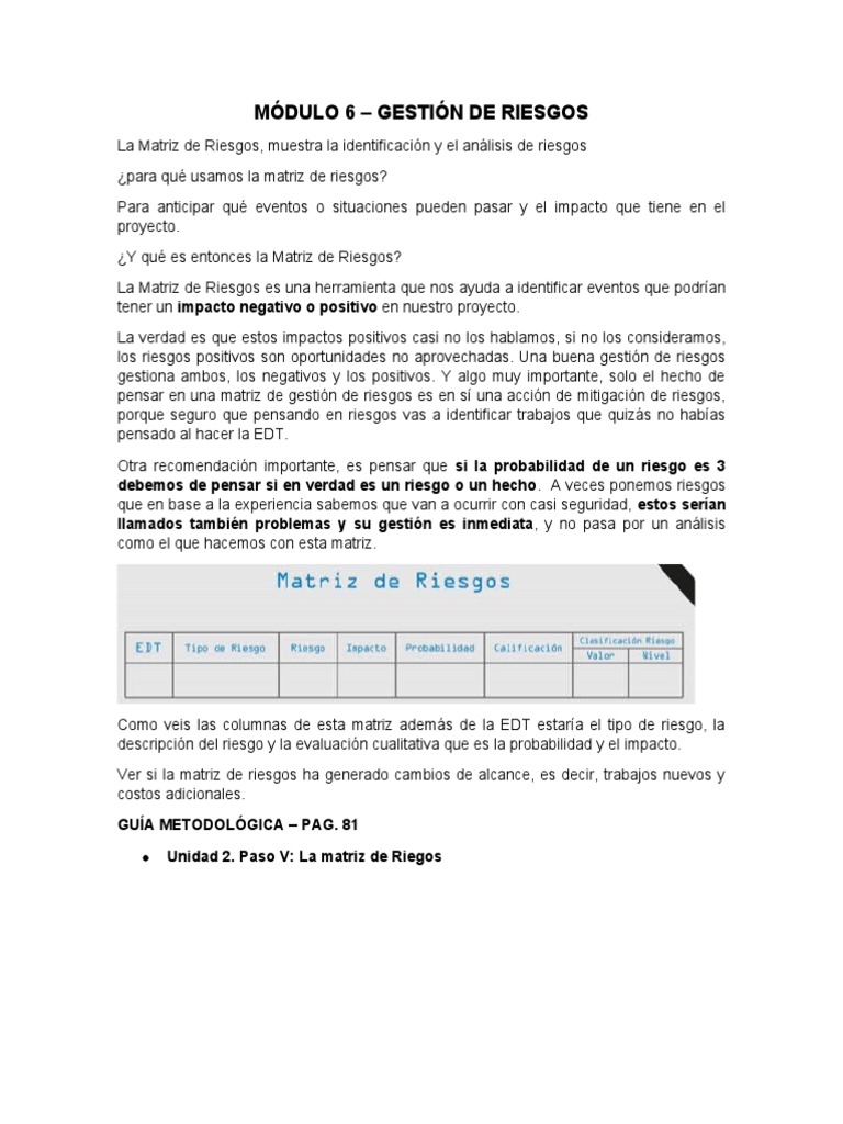 Matriz de Gestión de Riesgos en Proyectos | PDF | Análisis FODA | Riesgo