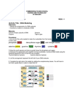 Activity Title: DNA Modeling: - Brown Black Green Blue Red