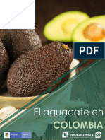 Aguacate en Colombia 2019