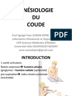 Cinesiologie Du Coude