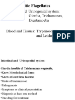 Intestinal and Urinogenital System: Giardia, Trichomonas, Dientamoeba Blood and Tissues: Trypanosoma and Leishmania