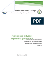 Tarea 1 Cultivos Agroindustriales