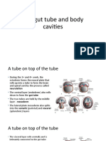 The Gut Tube and Body Cavities