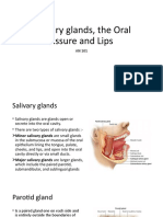 Salivary Glands, The Oral Fissure and Lips