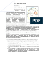 Esferas Mentales PDF